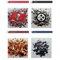 Tampa Bay Buccaneers, Pittsburgh Steelers, Washington Commanders, Tennessee Titans